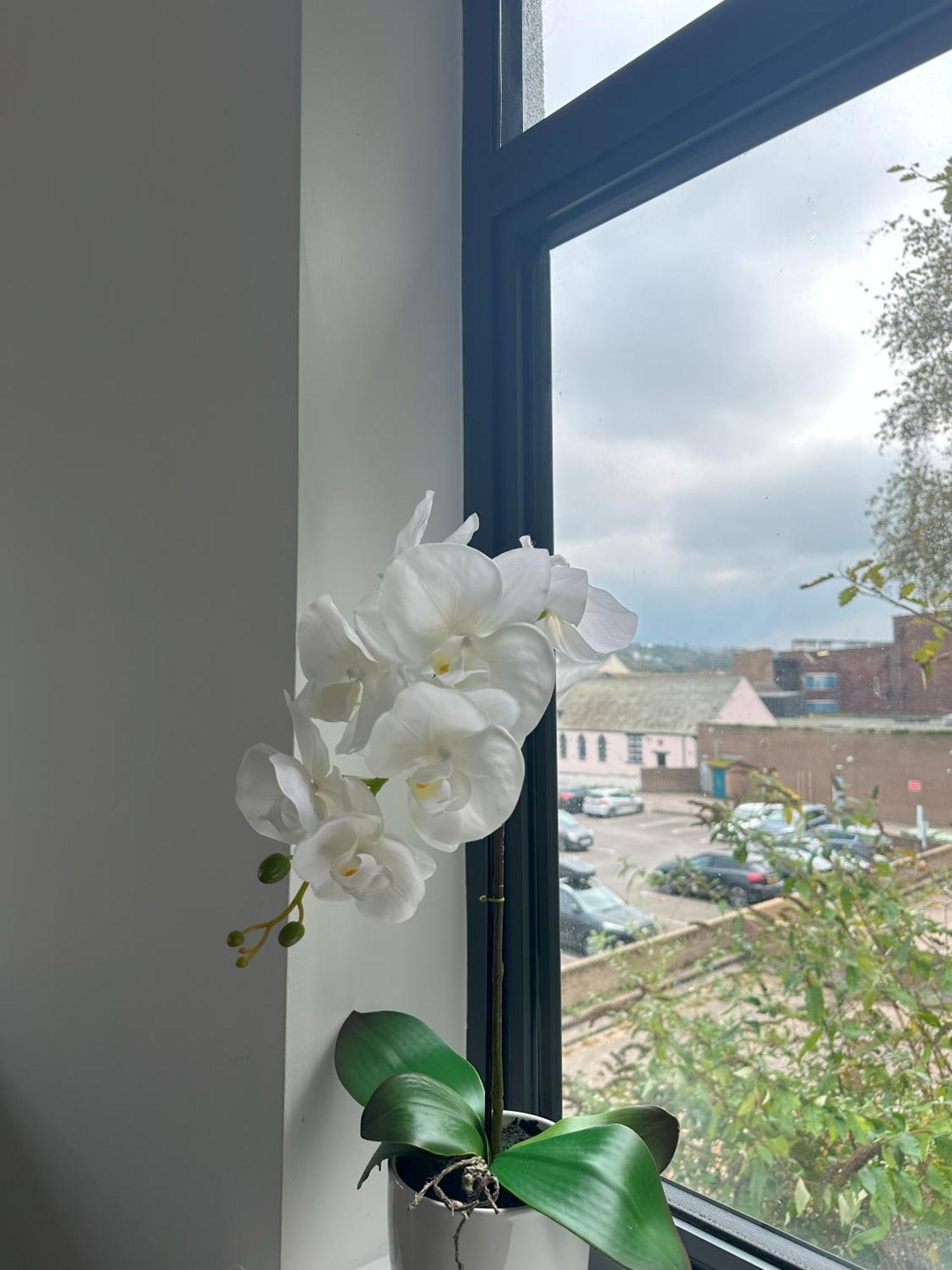 Sea View Apartment Whitehaven Buitenkant foto